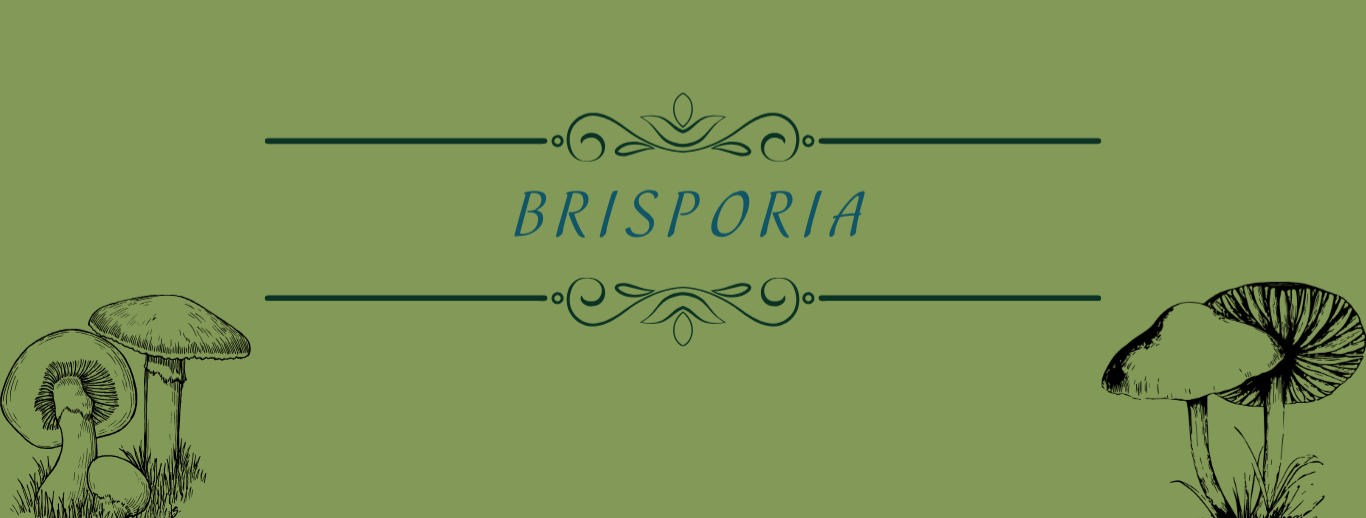 Brisporia Banner